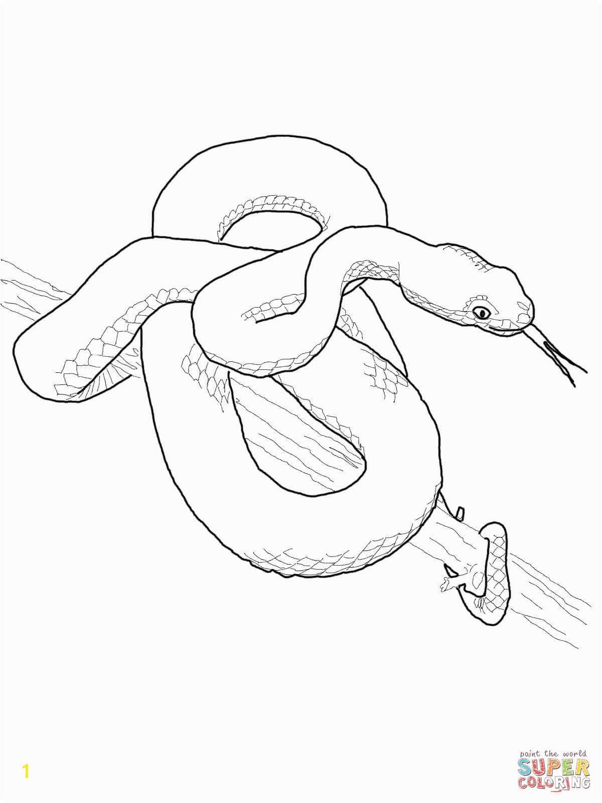 Viper Snake Coloring Page Viper Snake Coloring Pages