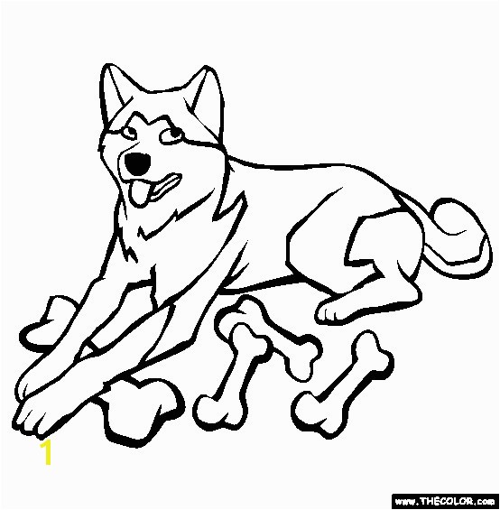 14 Fresh Washington Huskies Coloring Pages Stock