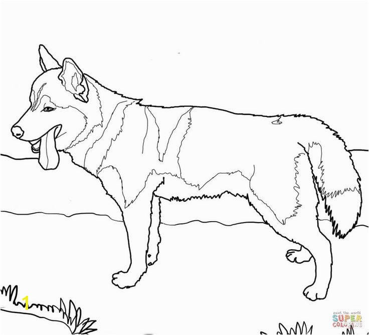 14 Fresh Washington Huskies Coloring Pages Stock