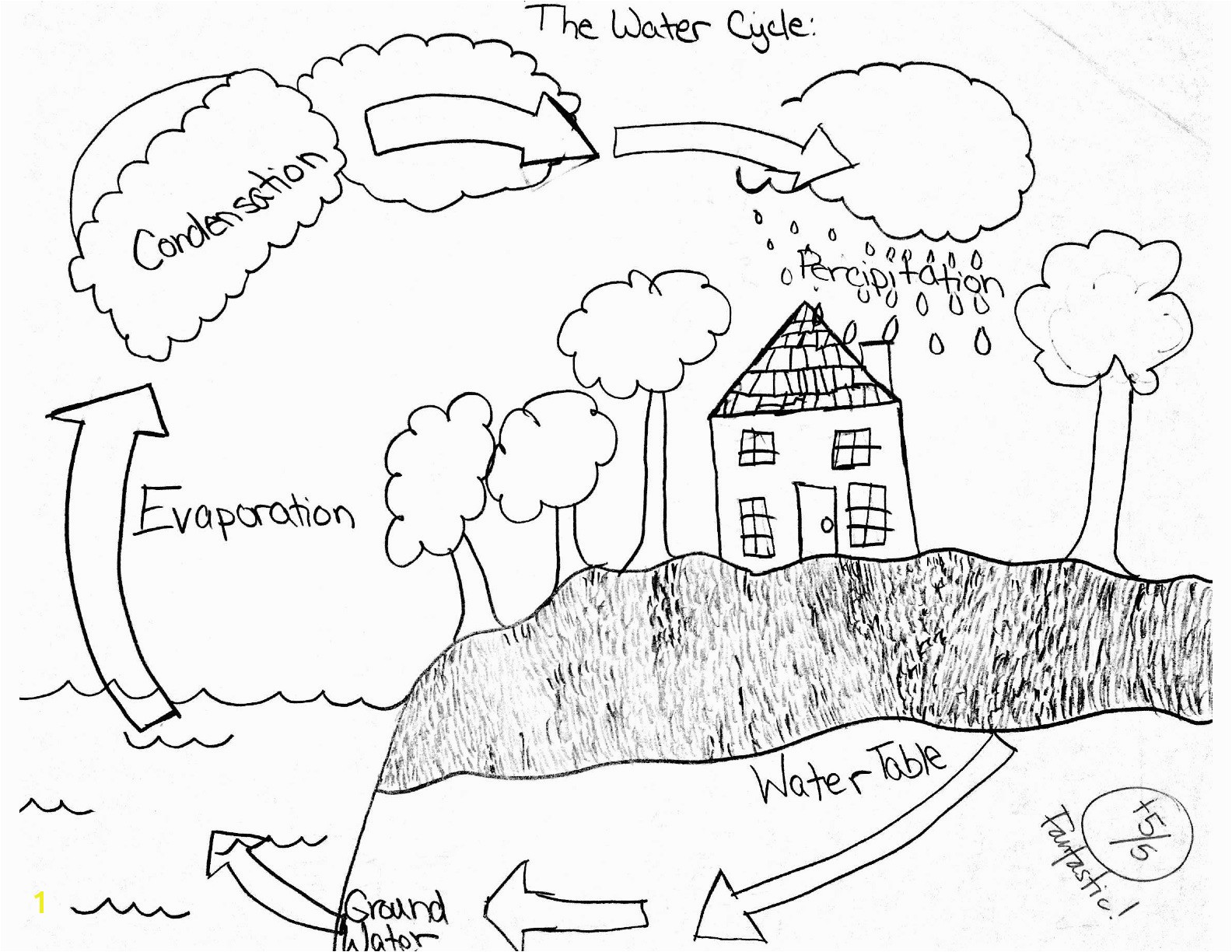 Water Cycle Coloring Page 12 Best Of for 5th Grade Science Worksheets Water Cycle Water Cycle Coloring Page 12 Best Of for 5th Grade Science Worksheets Water Cycle