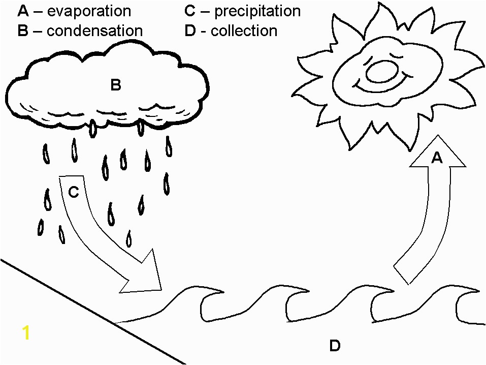 Teaching the Water Cycle in a basic way to preschool children on W day