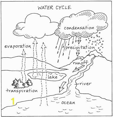 water cycle worksheet Google Search