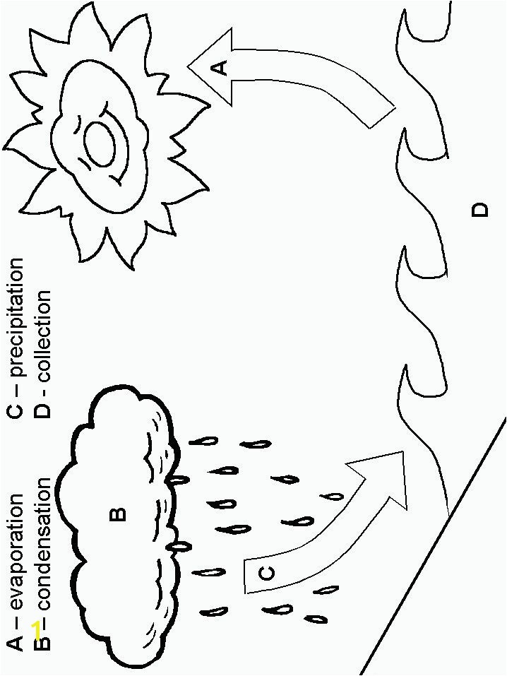 Water cycle coloring