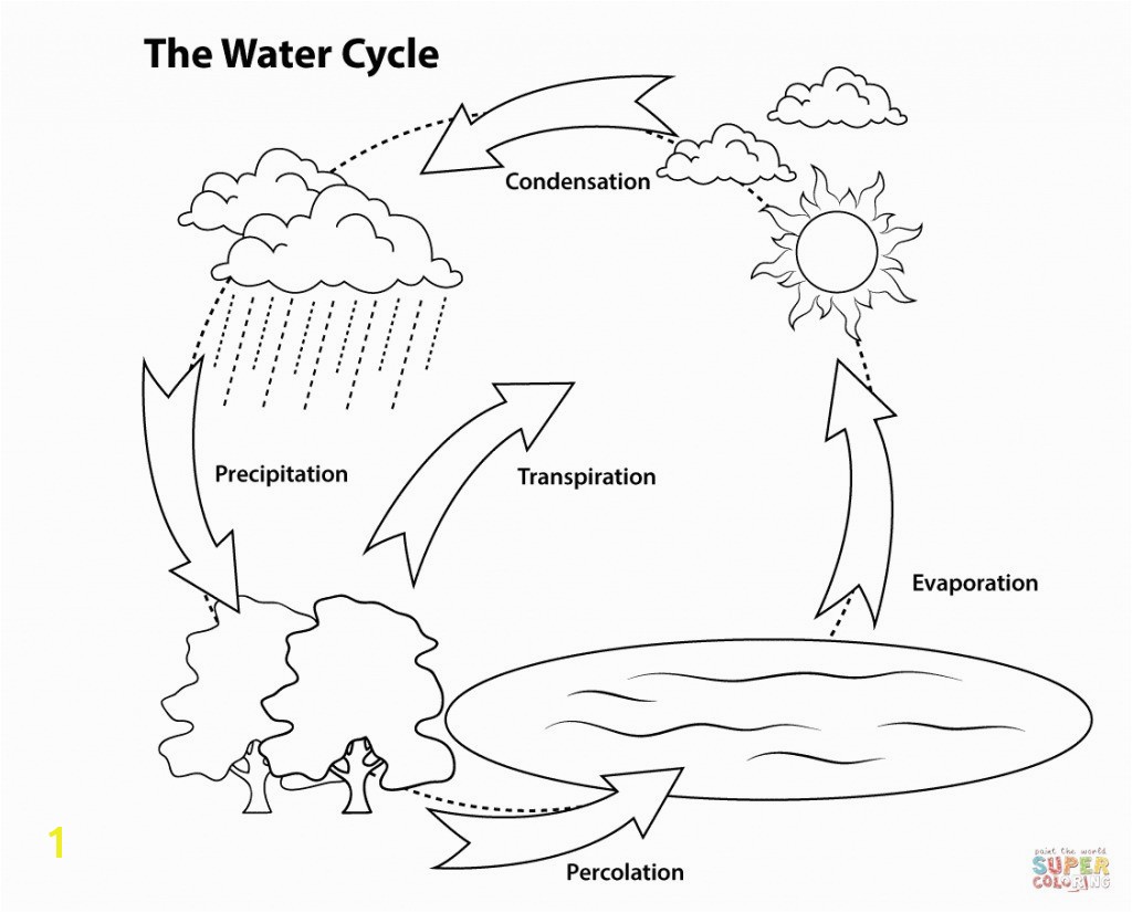 Water Cycle For Kids Coloring Page Water Cycle Coloring Pages Heathermarxgallery