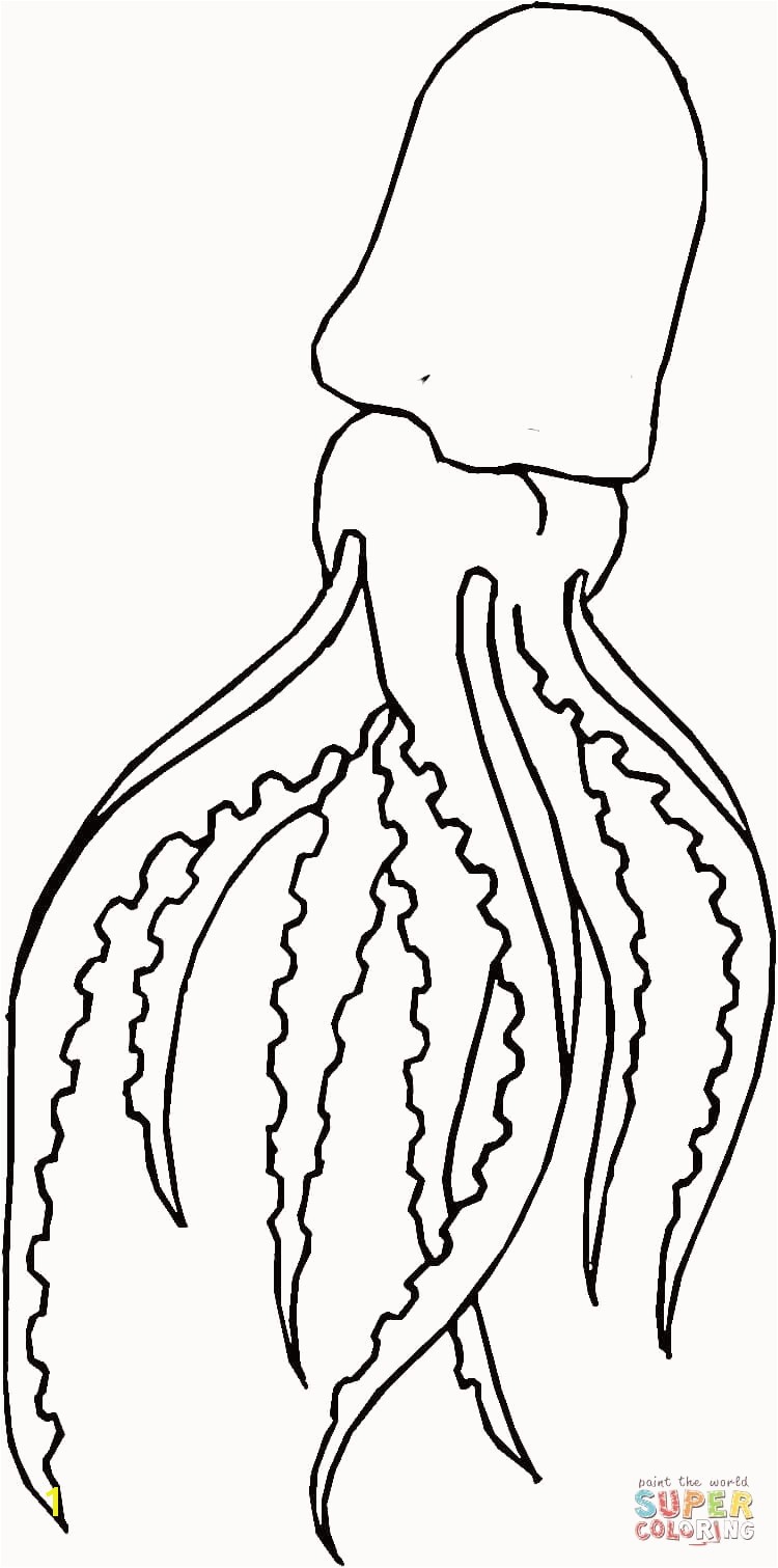 weasel coloring pages unique giant squid coloring page of weasel coloring pages