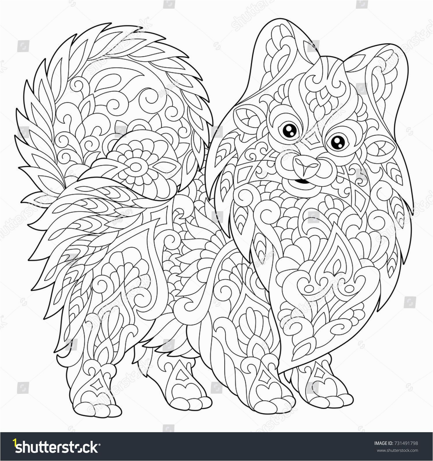 Coloring page of pomeranian dog symbol of 2018 Chinese New Year Freehand sketch drawing