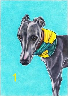 Whippet Coloring Pages 118 Best Whippet Greyhound Drawings Images On Pinterest