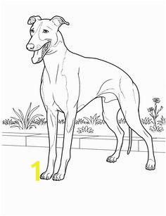 dog coloring pages 24 Teenagers coloring pages