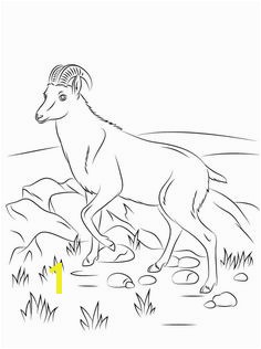 Free Printable Goat Coloring Pages For Kids