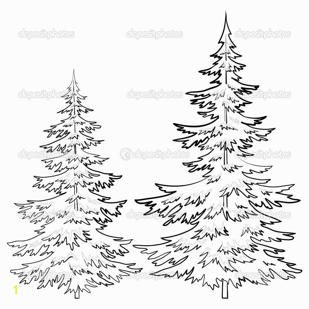 Pine Tree Drawings Black and White