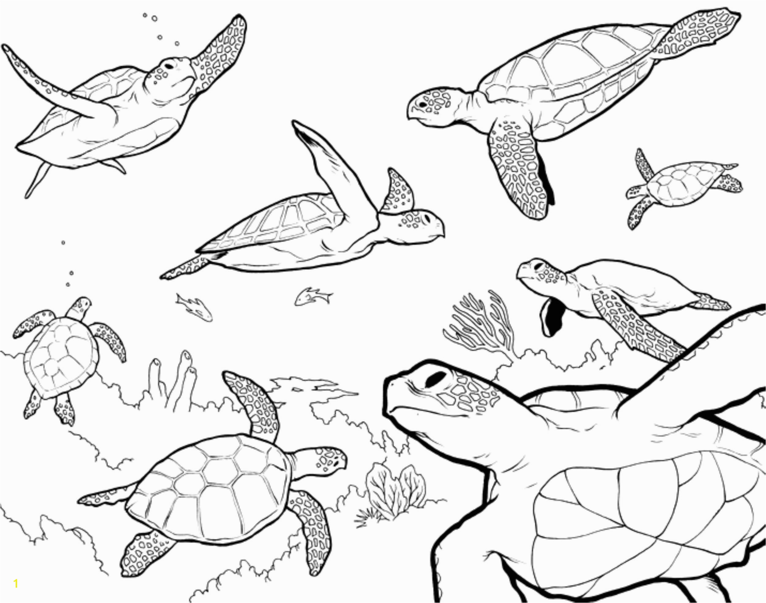 Best Printable Coloring Pages Beautiful Turtle Printable Coloring Pages Luxury Best Od Dog Coloring Pages