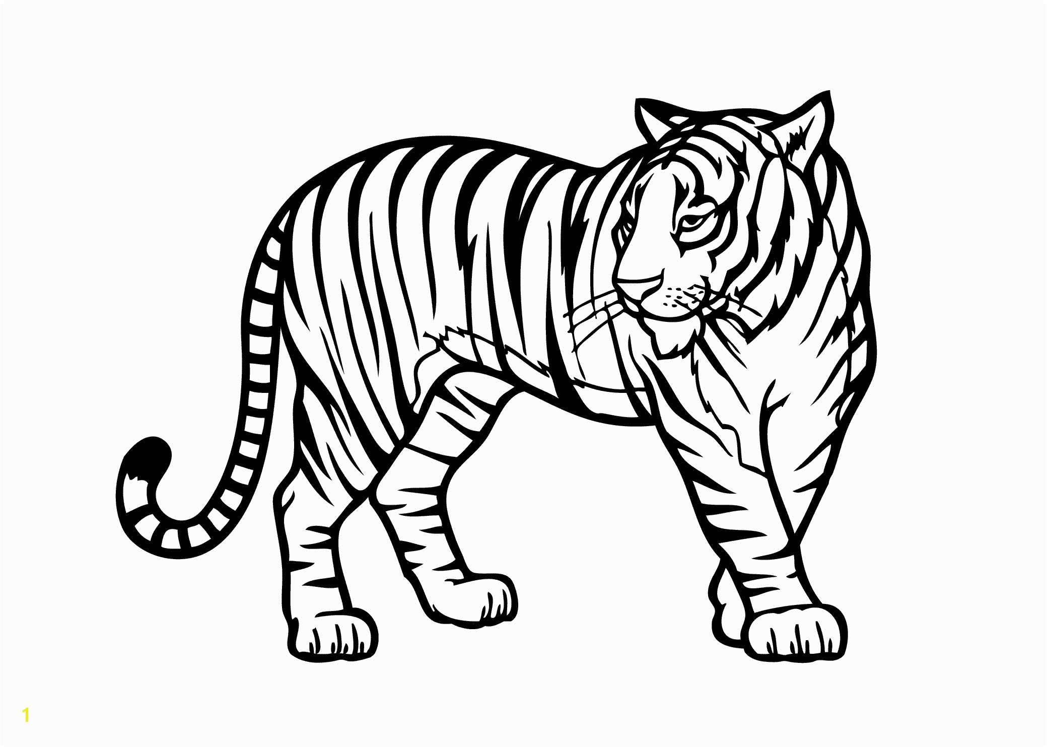 Tiger wild animals coloring pages for kids printable free