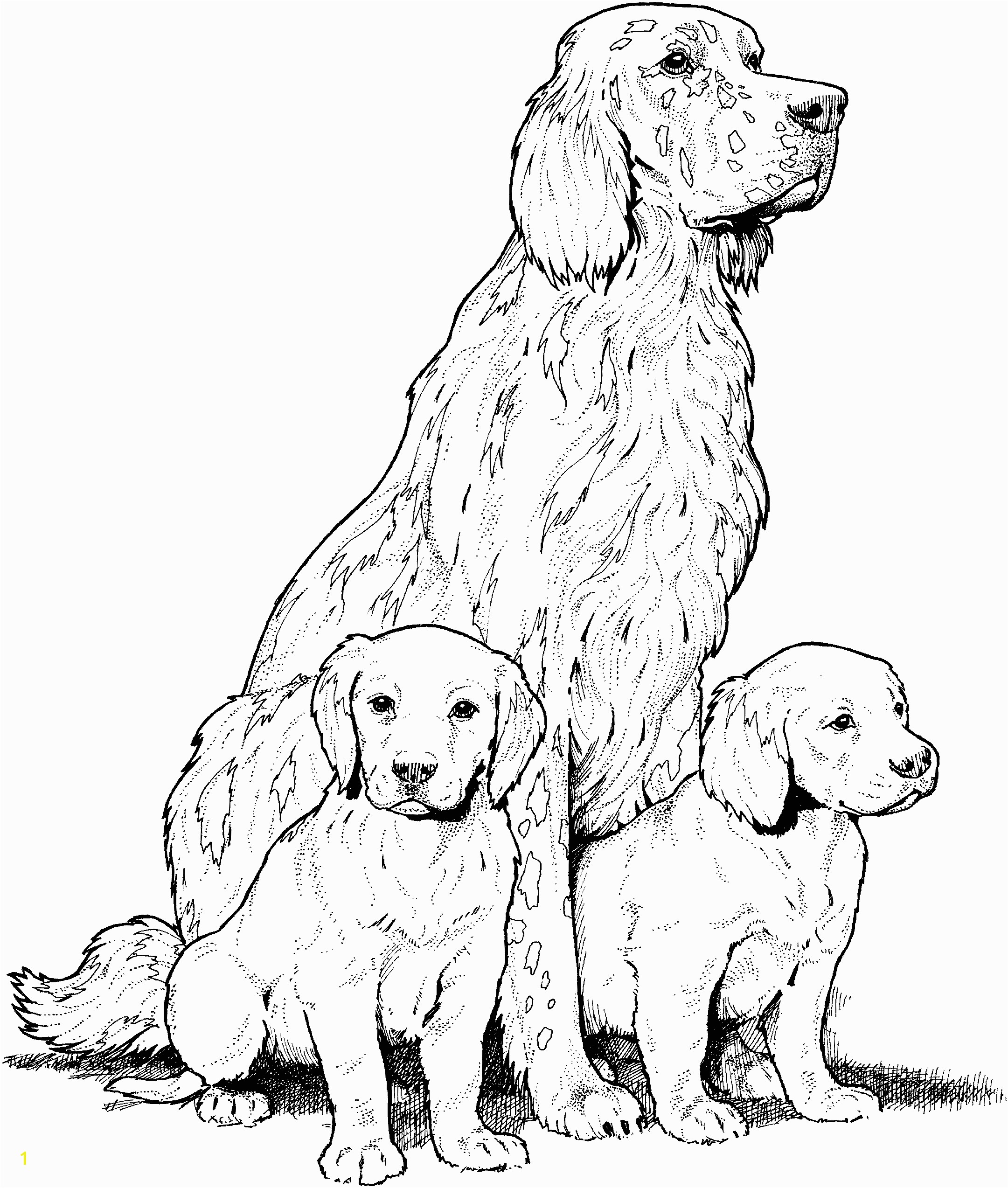 Dog Breed Coloring Pages Find beautiful coloring pages at TheColoringBarn