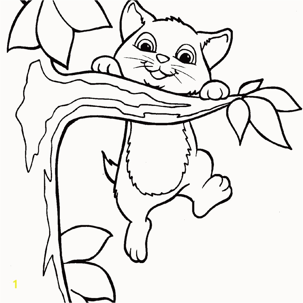 Pet Coloring Pages for Kids Beautiful Zoro Coloring Pages 900—1364 30 Luxury Pet