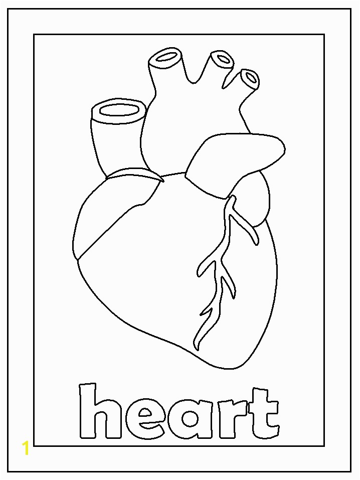 Coloring Pages The Human Heart For KidsKidsfreecoloring Net