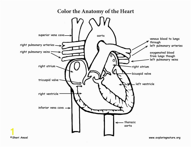 heart coloring 72