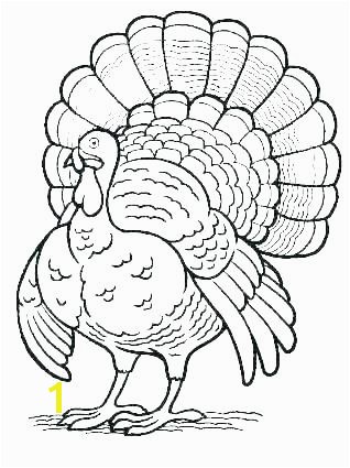 turkey coloring page coloring page turkey printable turkey coloring page free turkey coloring page free turkey turkey coloring page