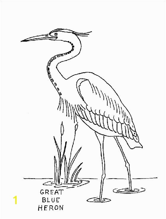 Blue Heron Coloring Page Coloring Page Great Blue Heron Coloring Pages