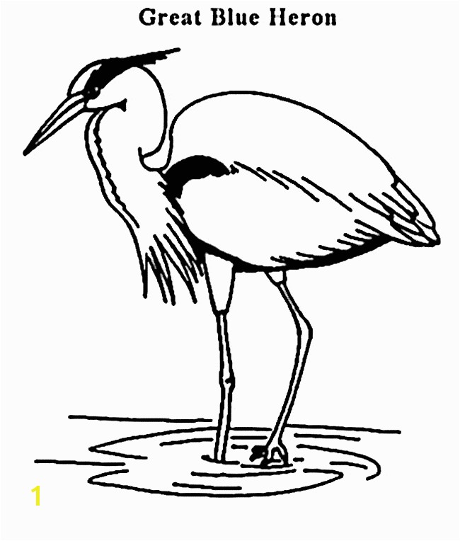 Great Blue Heron coloring page