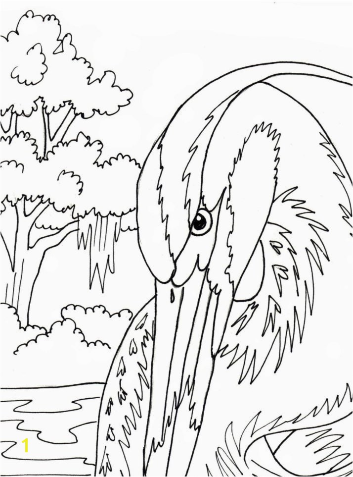 Blue Heron Coloring Page Great Blue Heron Coloring Page Embroidery Pattern Digital