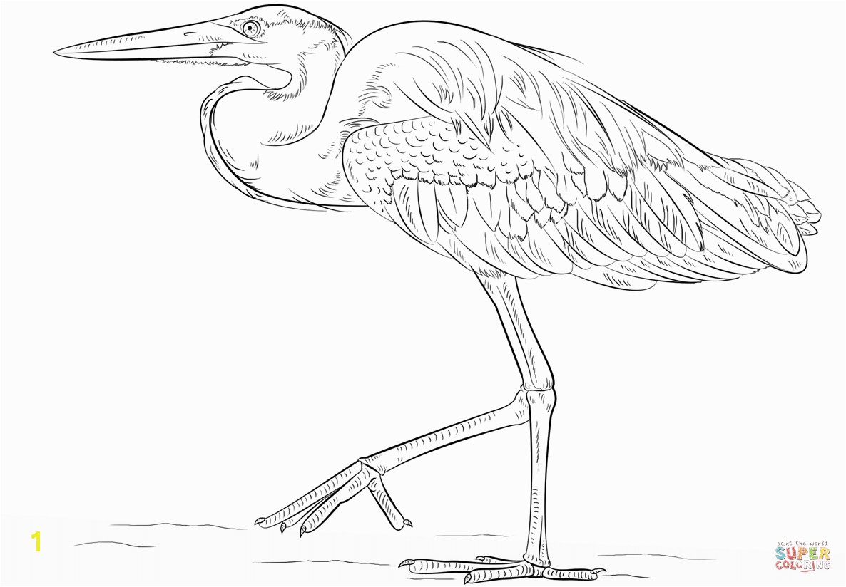 Great Blue Heron coloring page