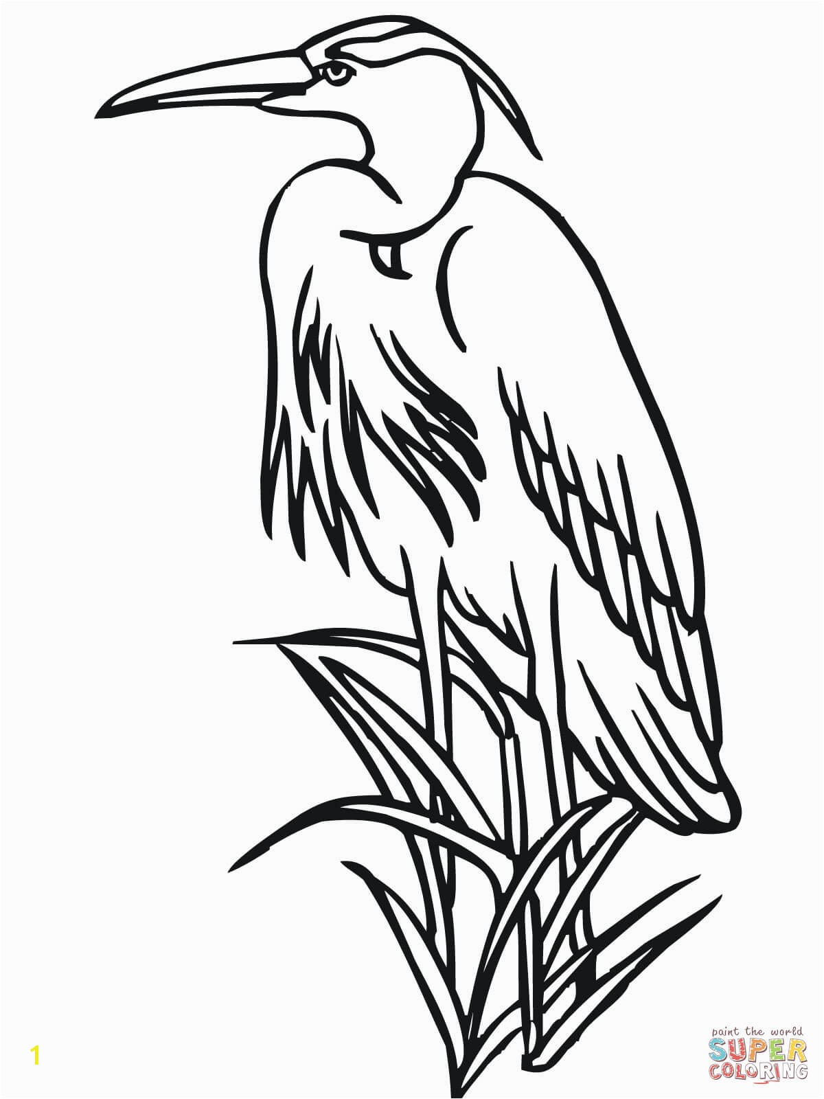 Blue Heron Coloring Page Heron Coloring Pages