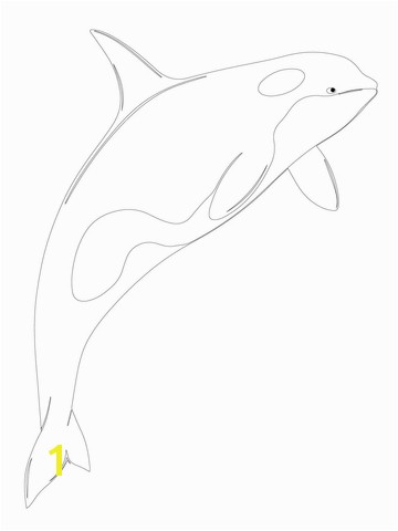 Coloring Pages Of Shamu orca Whale Shamu Coloring Page