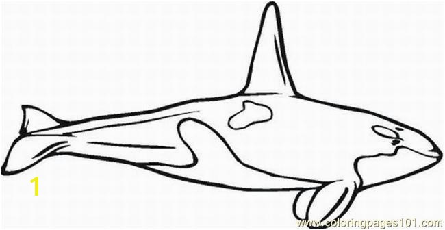 shamu coloring pages