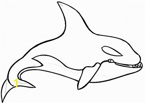 shamu coloring pages