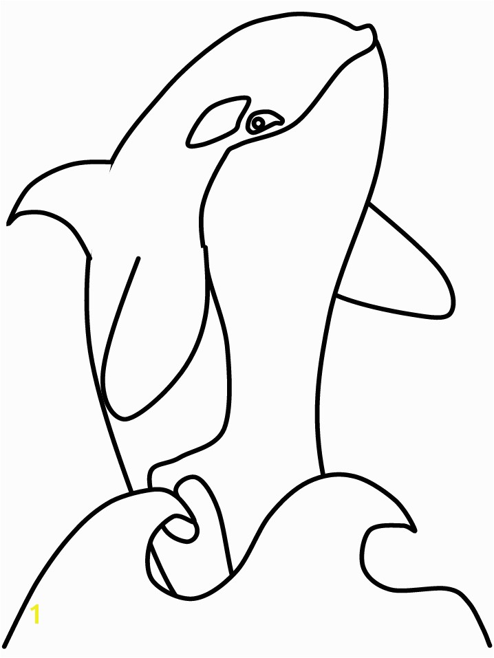 shamu coloring pages