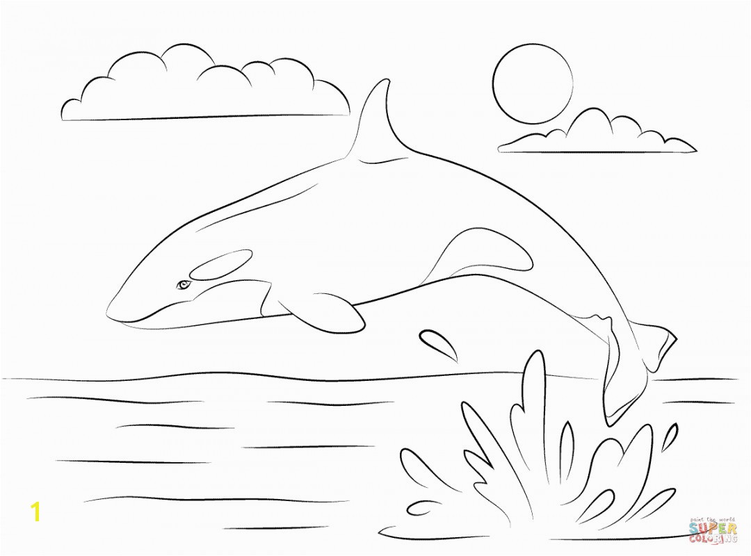 shamu coloring pages