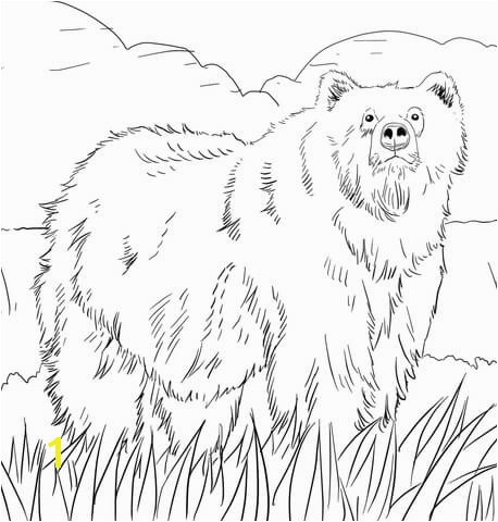 Alaskan Grizzly Bear coloring page
