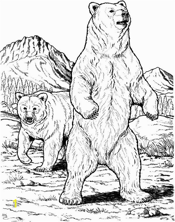 Angry Grizzly Bear Coloring Pages Free & Printable Coloring