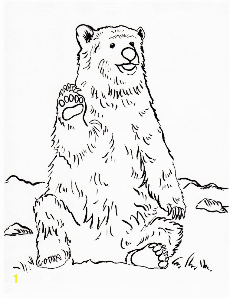 Grizzly Bear Coloring Pages Grizzly Bear Coloring Page Samantha Bell
