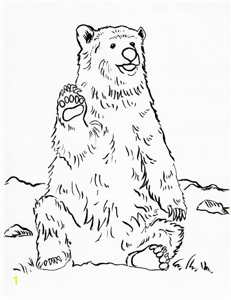 Grizzly Bear Coloring Page