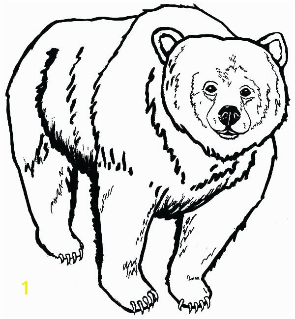 Grizzly Bear Coloring Pages 