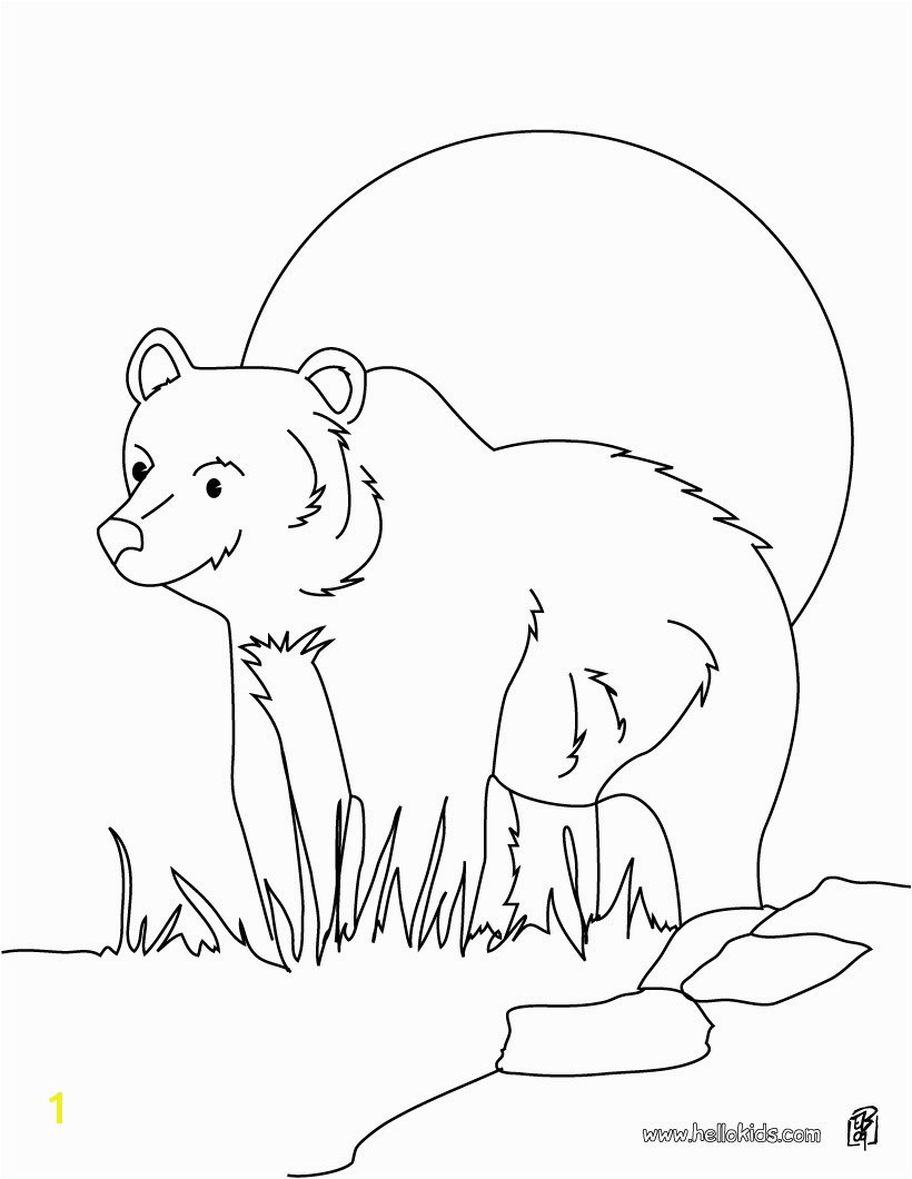 grizzly bear coloring page source 7cx