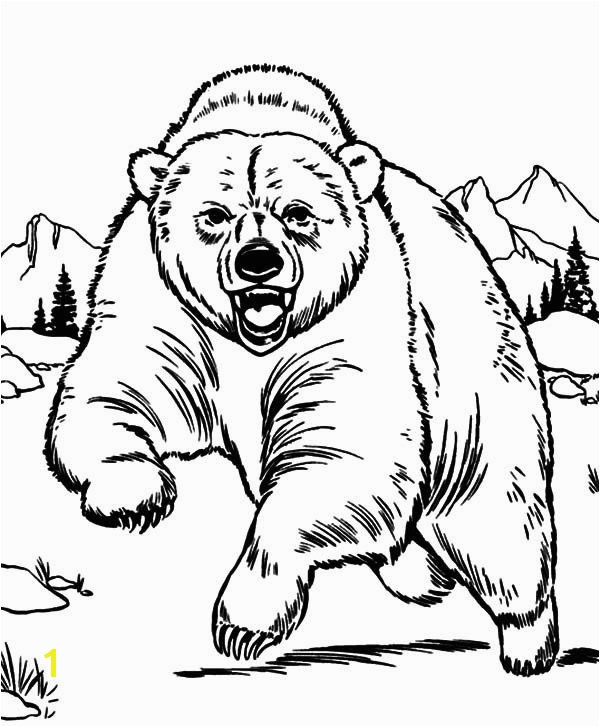 Grizzly Bear Coloring Pages