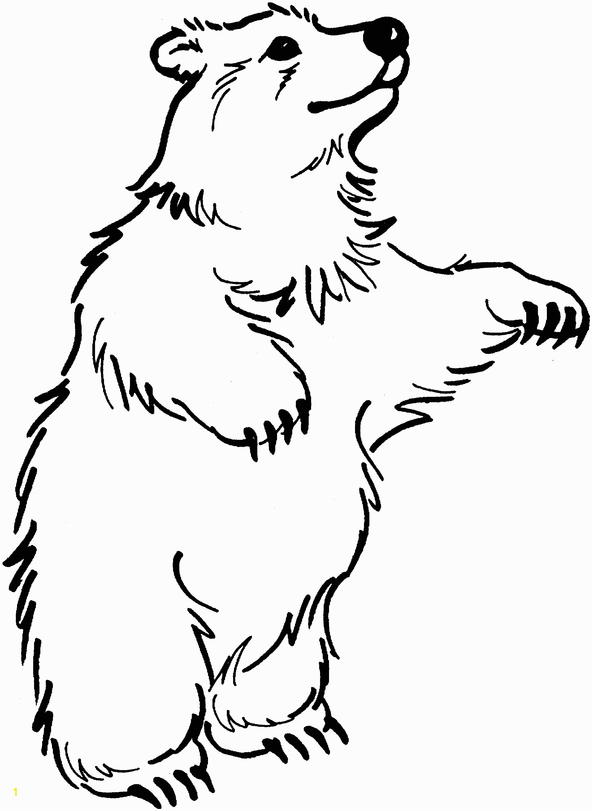 Grizzly Bear Coloring Pages Realistic Bear Coloring Pages Free Coloring Library
