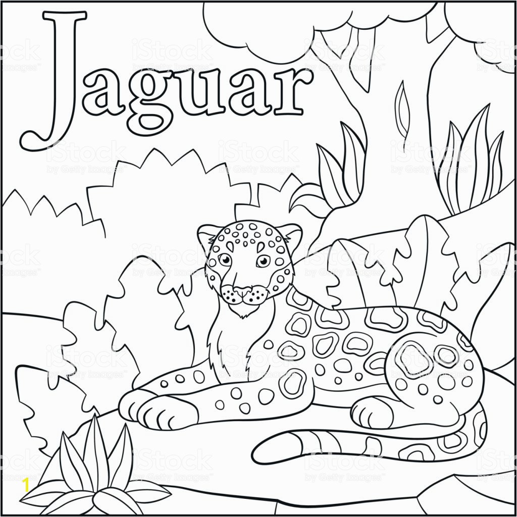 J is for Jaguar Coloring Page Ilustración De Página Para Colorear Alfabeto De Animales De Dibujos Animados J Es Para Jaguar Y