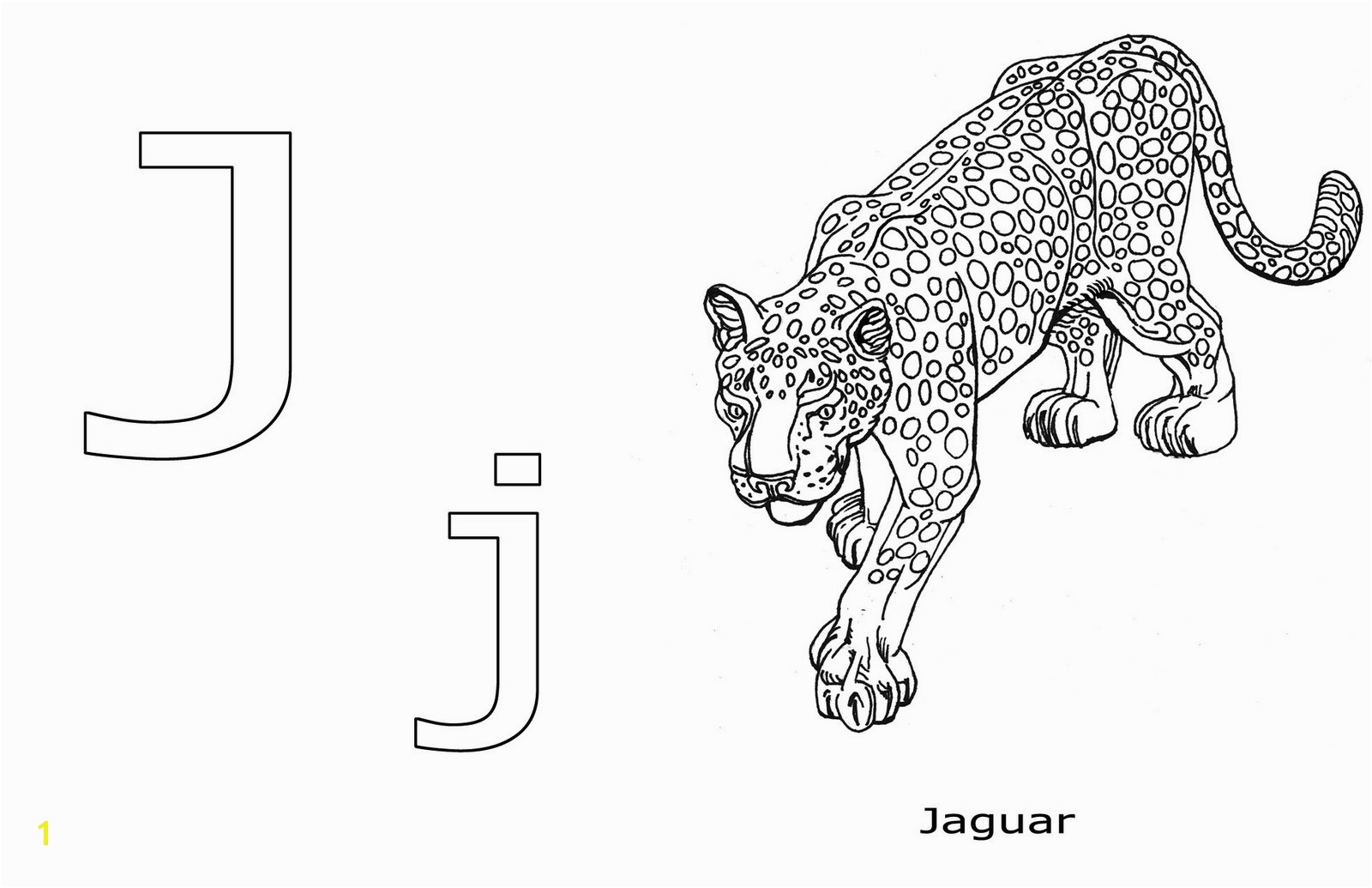 r is for ravens j is for jaguar