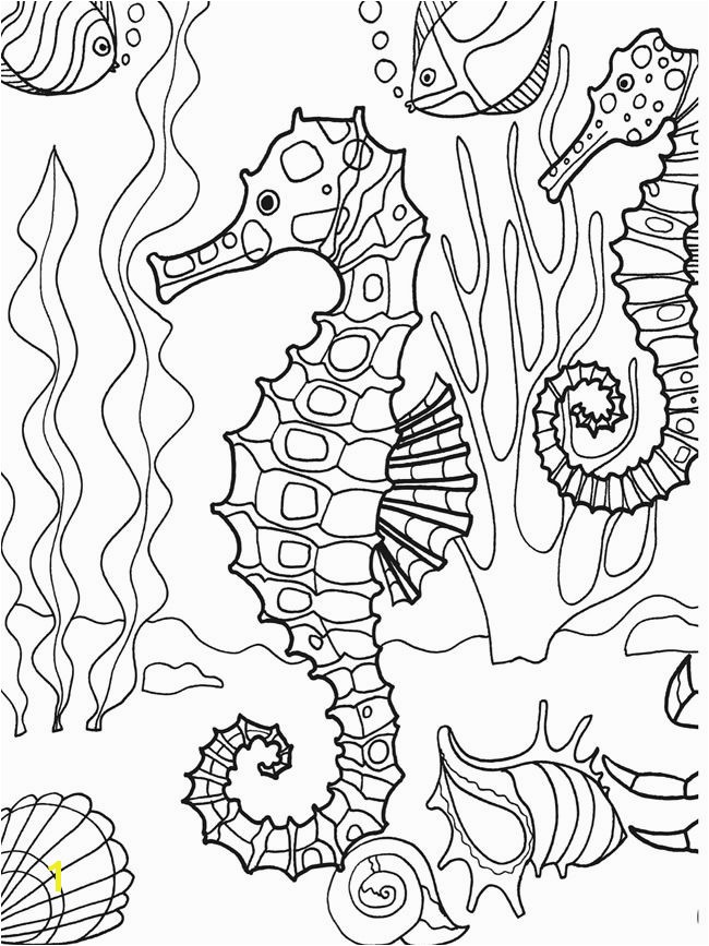 Seahorse Coloring Pages for Adults | divyajanan