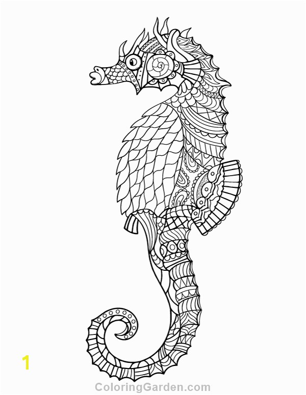 seahorse coloring page