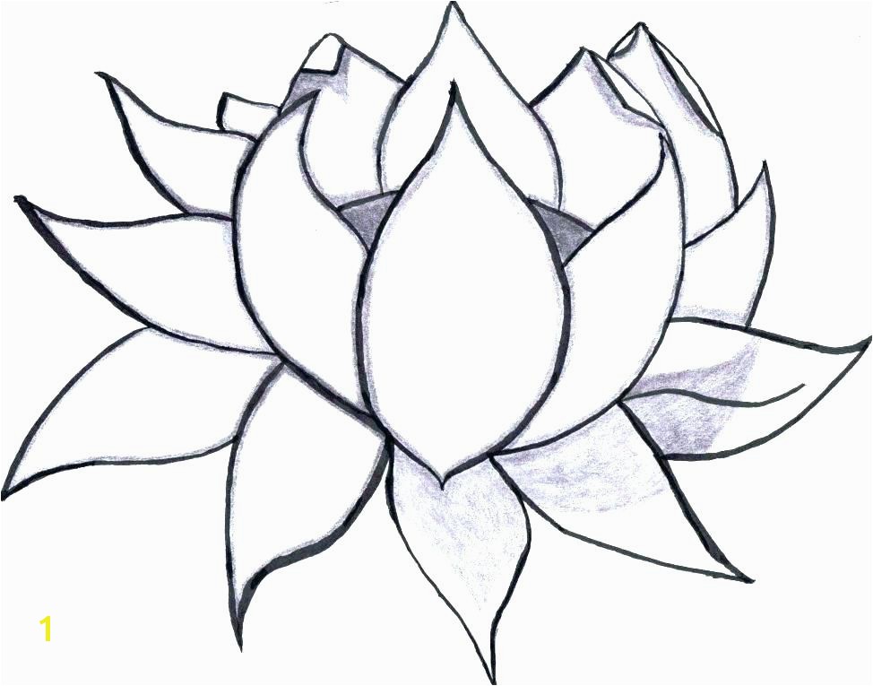 cool flower coloring pages easy rose photograph unique flowers color or large size of flowe cool flower coloring pages