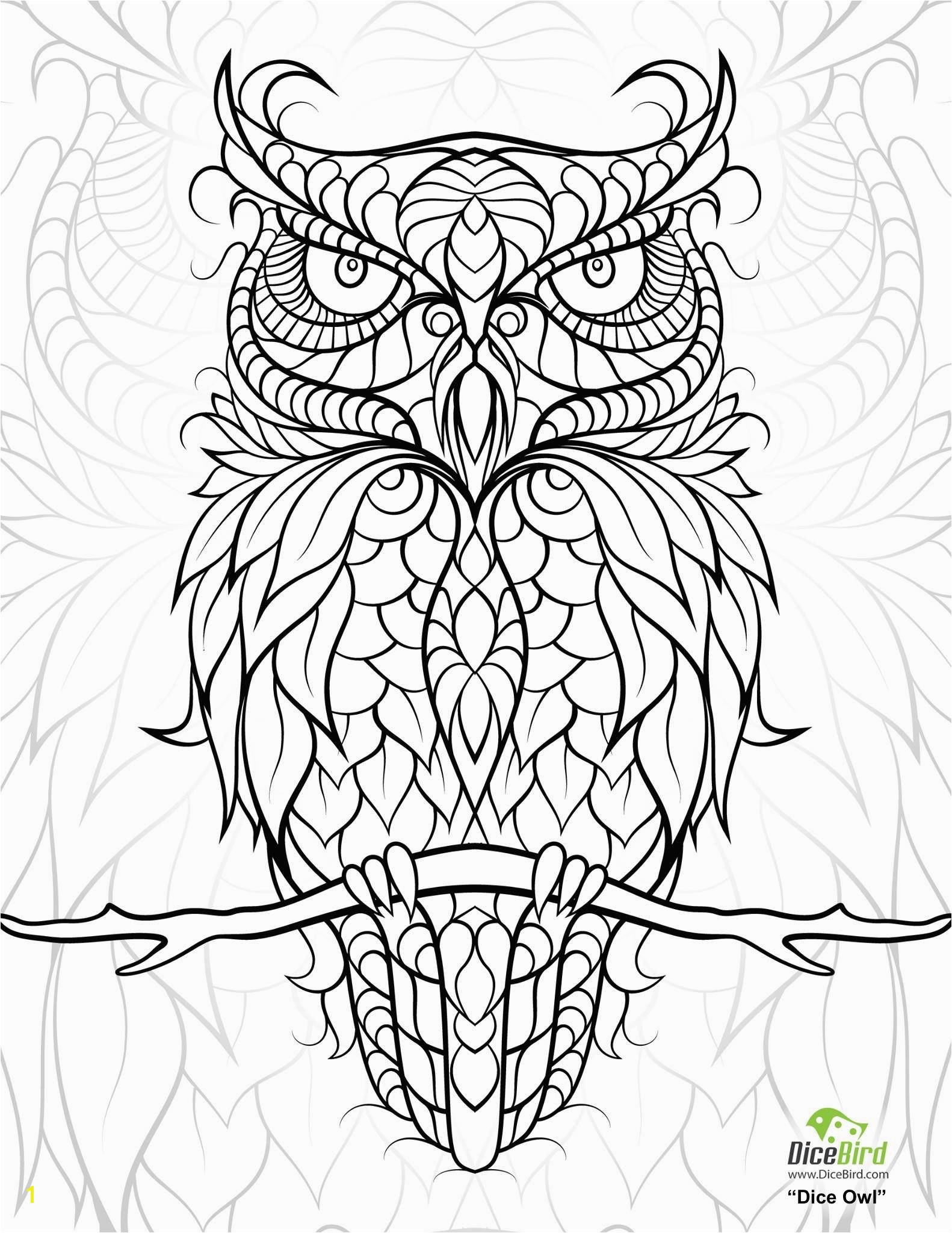 Owl Coloring Pages to Print for Adults Free Printable Owl Coloring Pages for Adults Gallery