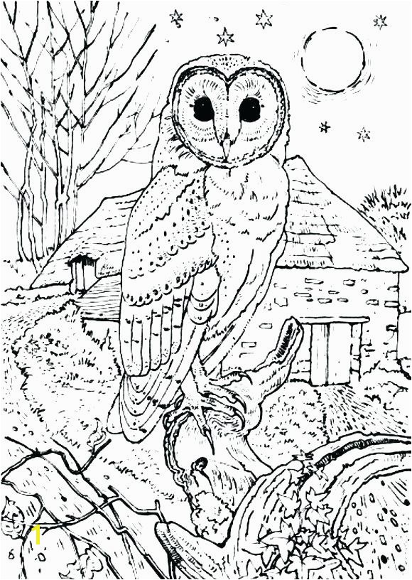 Owl Coloring Pages to Print for Adults Great Horned Owl Colouring Page Owls Coloring Pages to Her with