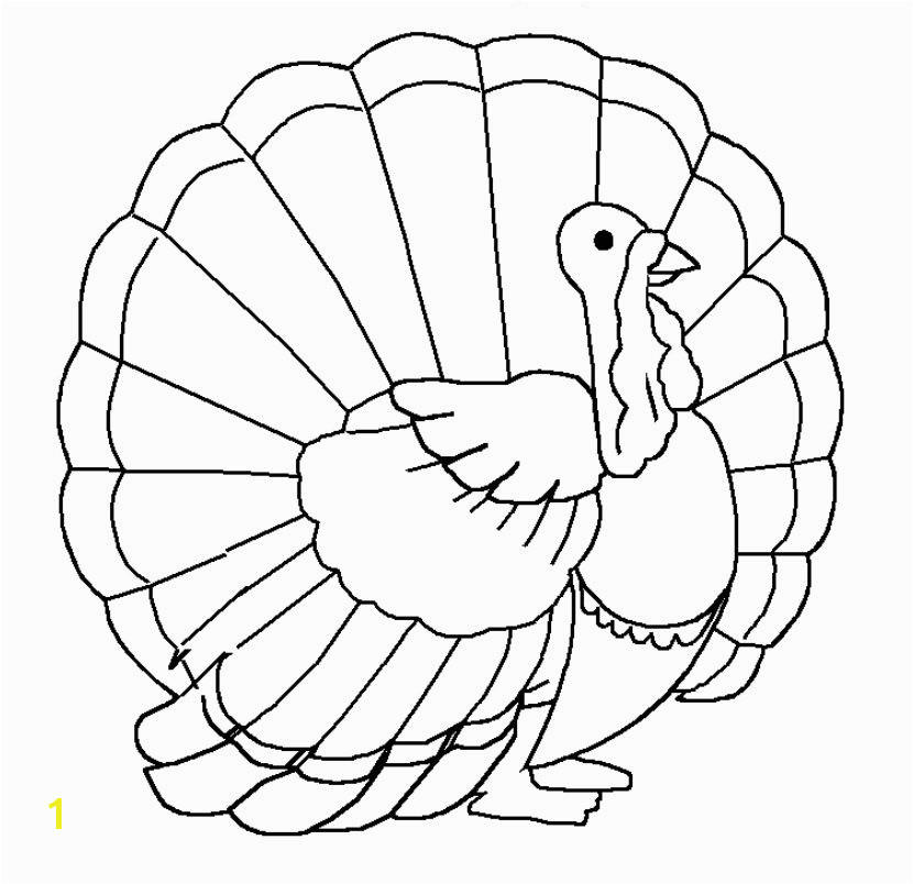 A proud Thanksgiving turkey