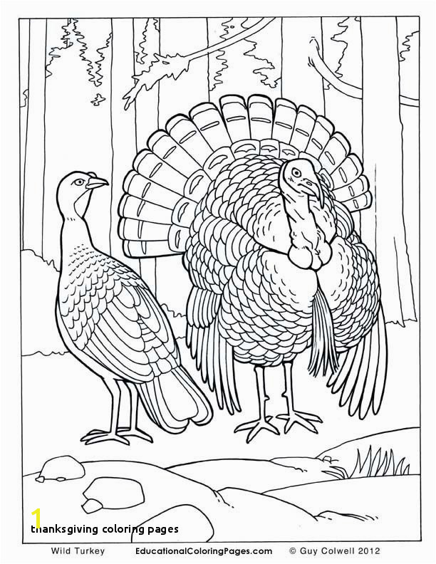 A Turkey for Thanksgiving Coloring Pages Thanksgiving Coloring Pages Fresh S S Media Cache Ak0 Pinimg