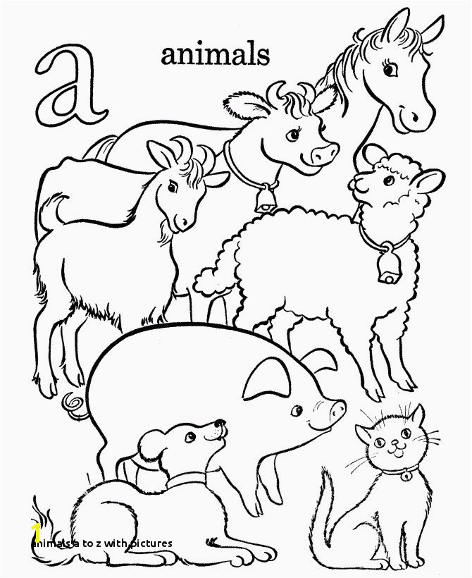 Animals A to Z with A Z Coloring Pages Vases Flower Vase Coloring Page Pages Flowers