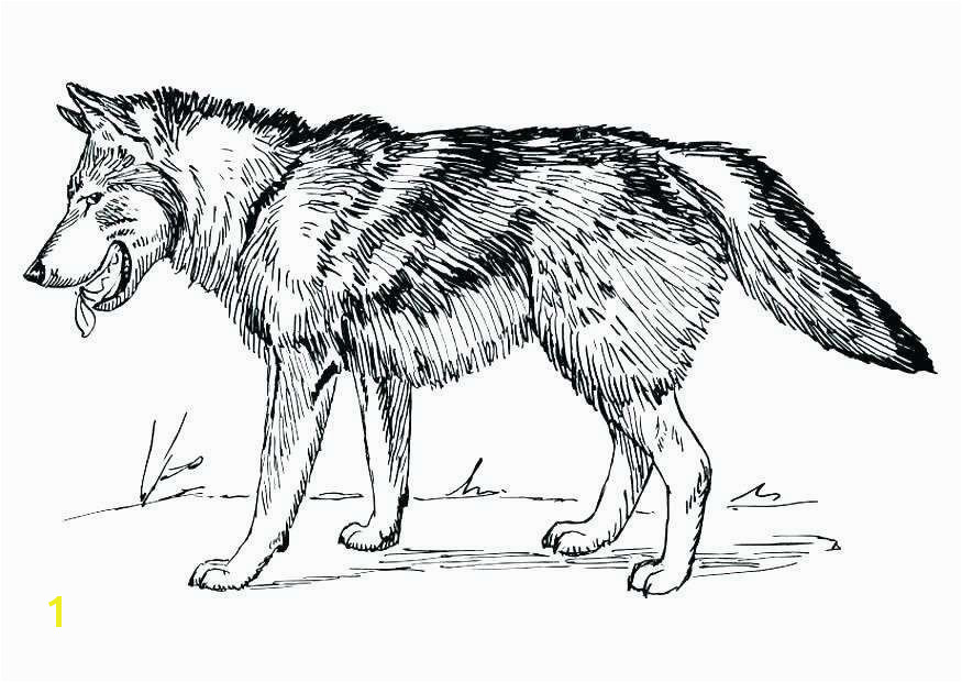 Awesome Coloring Pages Wolf for Adults Pleasing Coloring Pages Wolf for Adults